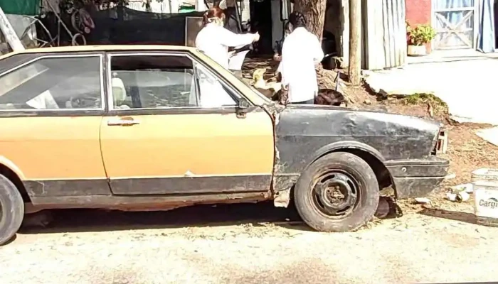 Escuela Ndeg 87 Videos - Maldonado