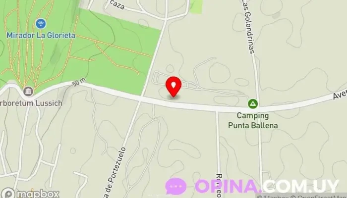 mapa de Escuela N°36 Escuela en Punta Ballena