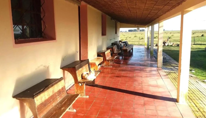 Escuela Ndeg41 Puntaje - Cebollatí