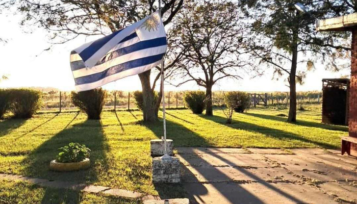 Escuela Ndeg86 Cuchilla De Dayman Mas Recientes - Salto