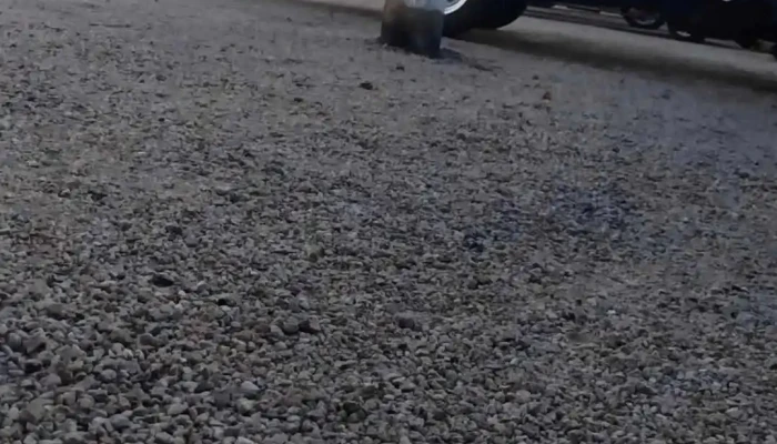 Escuela Ndeg96 Ubicacion - Maldonado