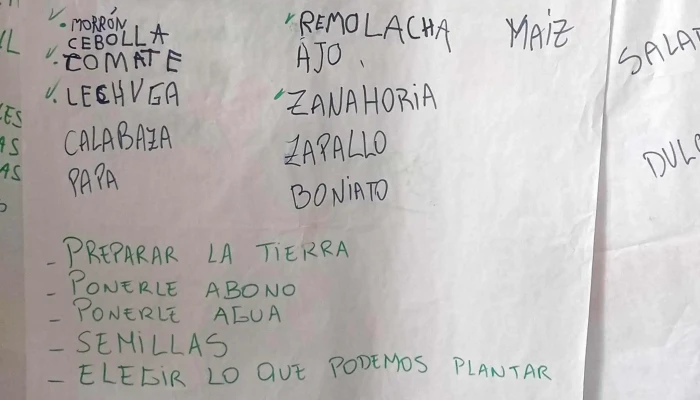 Escuela No 117 Carmelo Precios - Carmelo