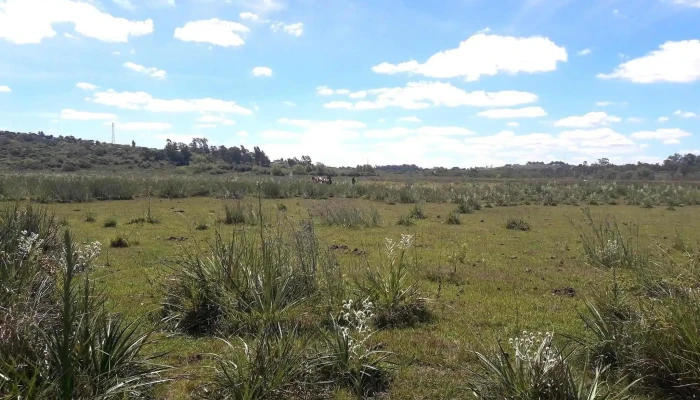 Escuela No 139 Puntaje - Rivera