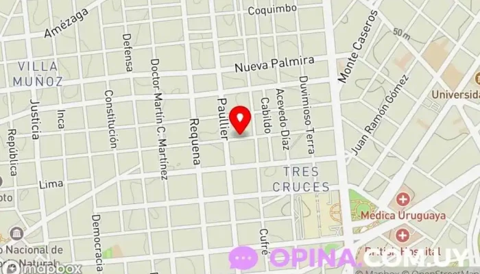 mapa de Escuela Nº 45 Leonor Hourticou Escuela primaria en Montevideo