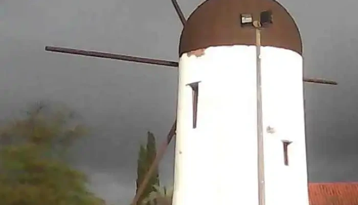 Escuela No 7 Del Molino Instagram - Maldonado