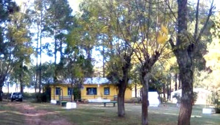 Escuela No 84 Cerca De Mi - Rivera