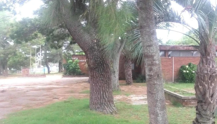 Escuela No82 Juana De Ibarbourou Punta Del Este - Punta del Este