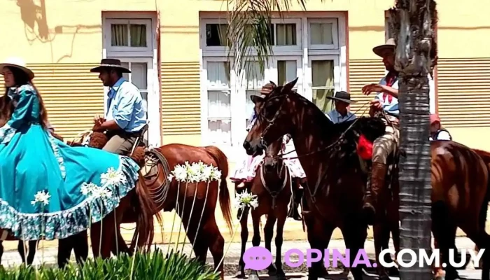 Escuela No9 Gral Jose Artigas Videos - Aiguá