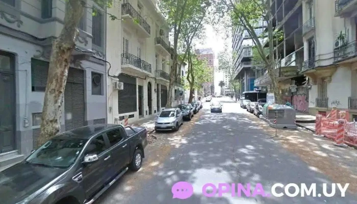 Escuela N° 239 - Montevideo