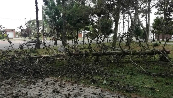 Escuela n° 32 "Juana de Ibarbourou" - Ombúes De Lavalle