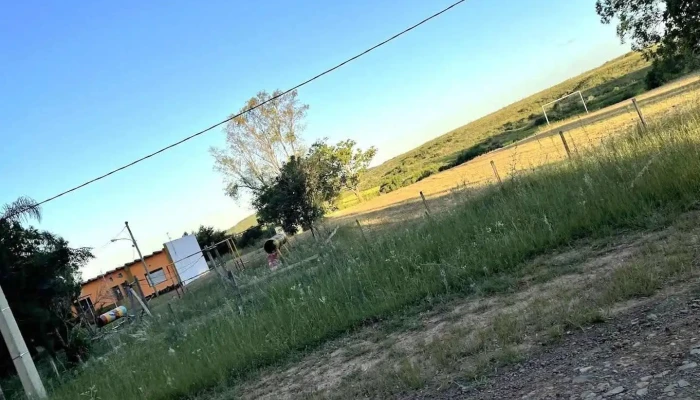 Escuela N° 4 Chacras del Pintado - Col Pintado