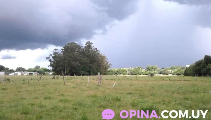 Escuela N° 45 - Rocha