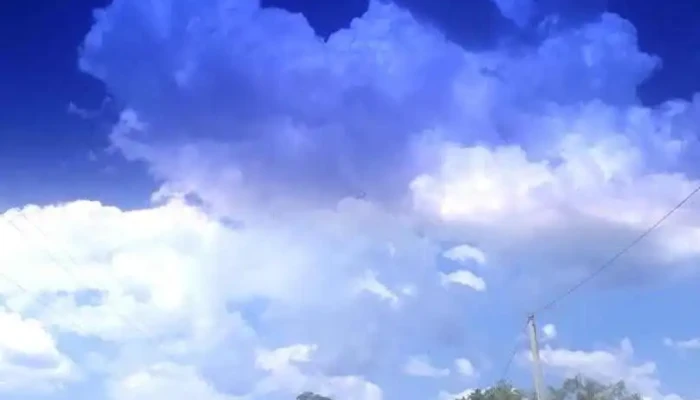 Escuela N° 54 Miguel Aguerre Aristegui - Rivera