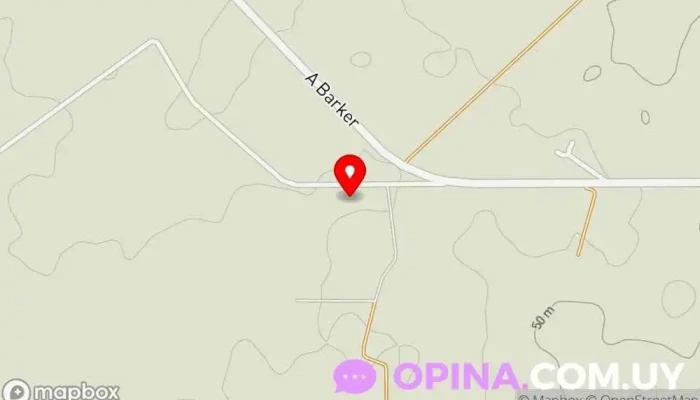 Escuela N°31 - - Rosario