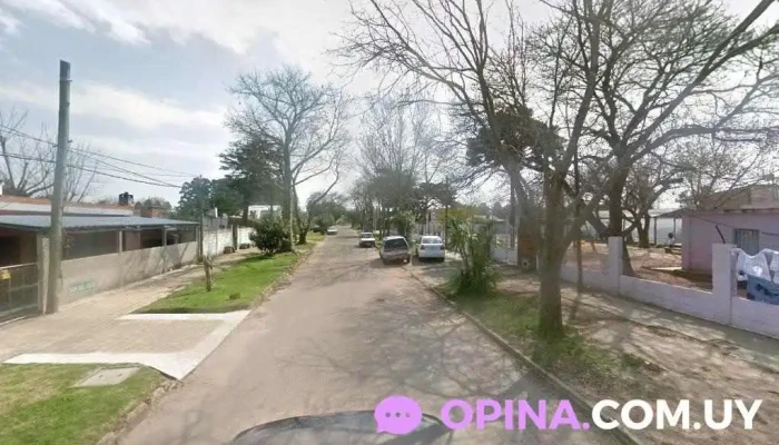 Escuela N°56 Clemente Estable - Maldonado