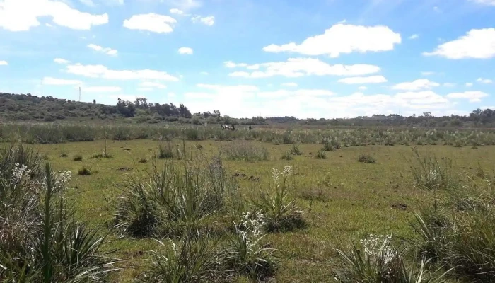 Escuela Nº 139 - Rivera