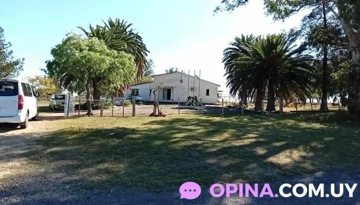 Escuela Nº 98 Canelones - Departamento De Canelones