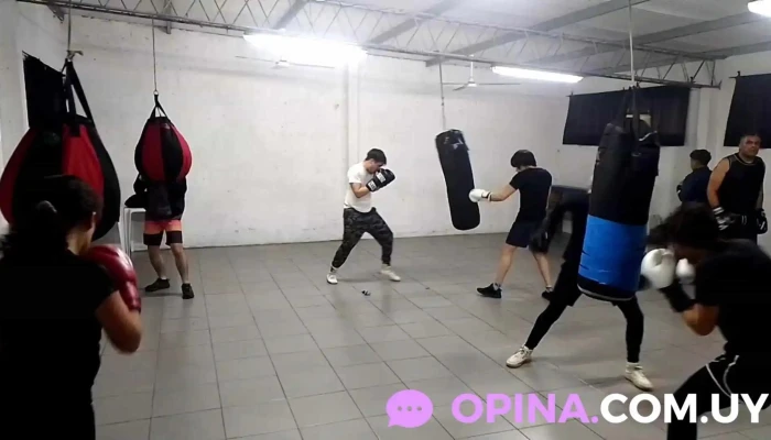 Escuela Pitbull Boxeo Kick Boxing Jiujitsu Y Defensa Personal -  Del Propietario - Montevideo