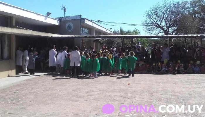 Escuela Primaria Ndeg123 Y Ndeg55 Descuentos - Montevideo