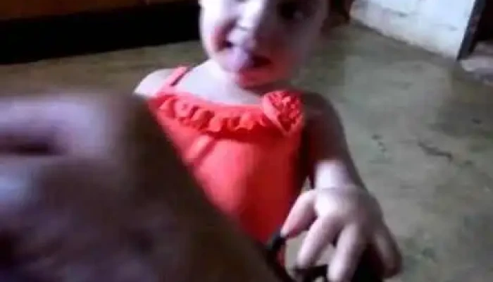 Escuela Publica Ndeg109 Videos - Florida