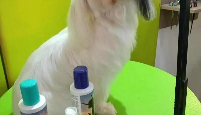 Escuela Publica Numero 5 Castillos - Castillos