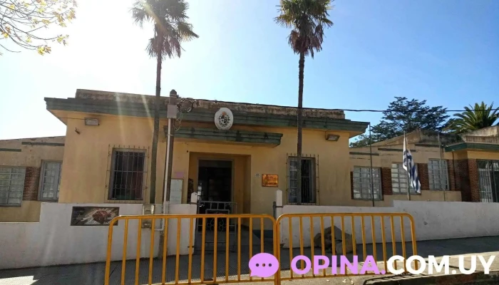 Escuela Publica Numero 5 Fotos - Castillos