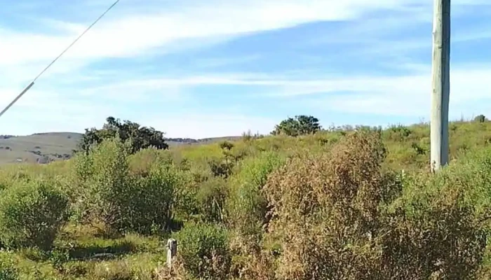 Escuela Rural 47 Estacion Repecho Videos - Pan de Azúcar