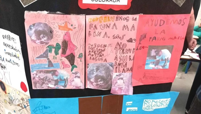 Escuela Rural 89 De Punta Colorada -  Videos - Punta Colorada