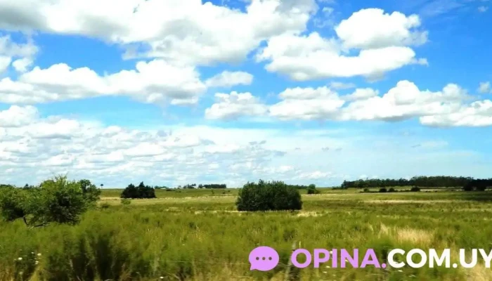 Escuela Rural Ndeg17 Promocion - Sauce