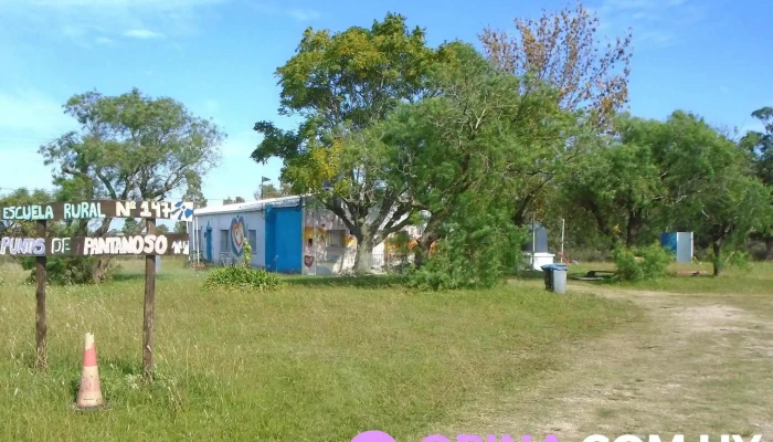Escuela Rural No147 Puntas De Pantanoso Catalogo - Santa Rosa