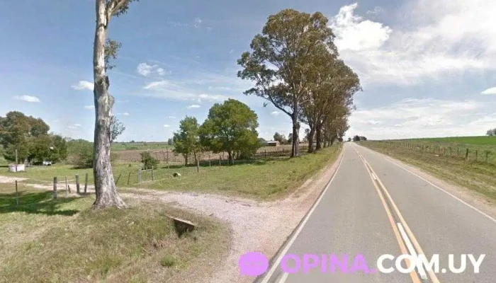 Escuela Rural N° 57 - San Ramón