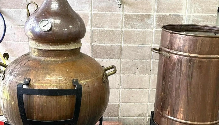 Escuela Superior De Vitivinicultura Pte Tomas Berreta De El Colorado Sitio Web - Las Piedras