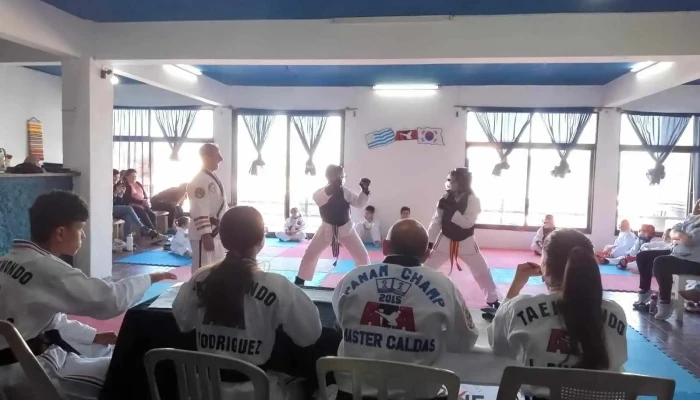 Escuela Taekwondo Ziyou Ata Libertad -  Del Propietario - Libertad