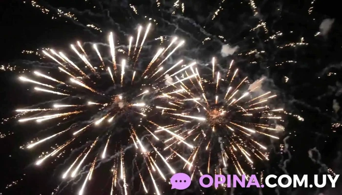 Escuela Taller No 120 Videos - Minas