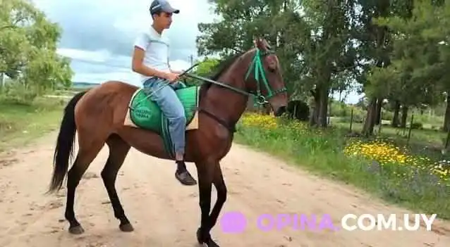 Escuela Tc 35 -  Telefono - Velazquez