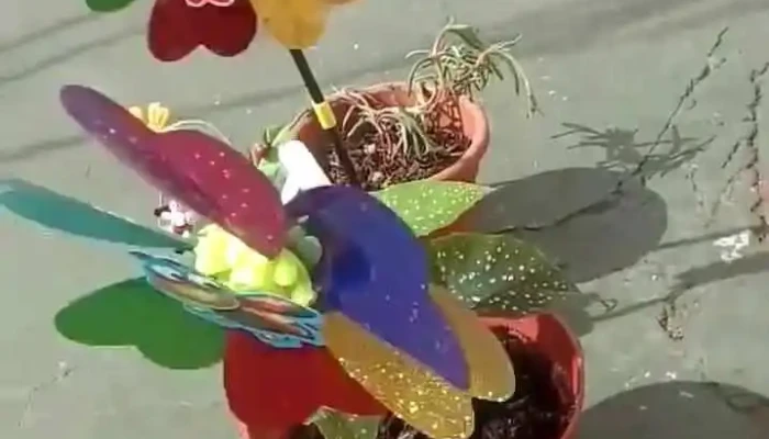 Escuela Tecnica Minas Videos - Minas