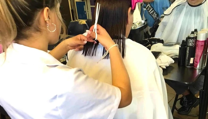 Escuela Tecnica Paso De La Arena Abierto Ahora - Montevideo