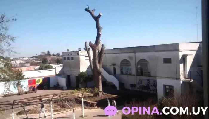 Escuela Tecnica Superior Pedro Blanes Viale Opiniones - Mercedes