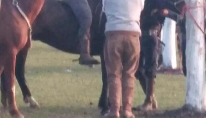 Escuela Y Liceo Bernabe Rivera Centro Educativo Integral Videos - Bernabe Rivera