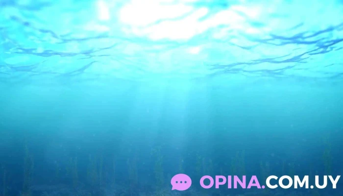 Escuela Yobuceo   Cantera De Ferrando Videos - Col. del Sacramento