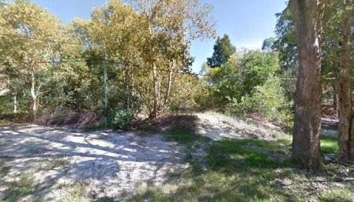 Esencia Cafe Bar Vivero Todo - Vir&aacute;