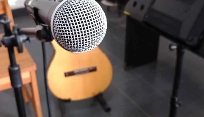 Espacio De Formacion Musical Del Propietario - Carmelo