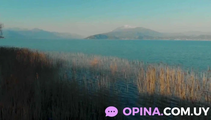 Espacio Terapeutico Terapia Coaching I Nutricion Del Propietario - Ciudad de la Costa