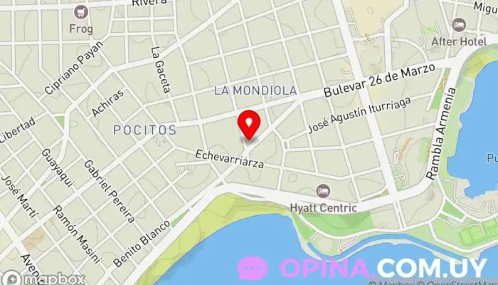 mapa de Essence Cirugia Plástica Cirujano plástico en Montevideo