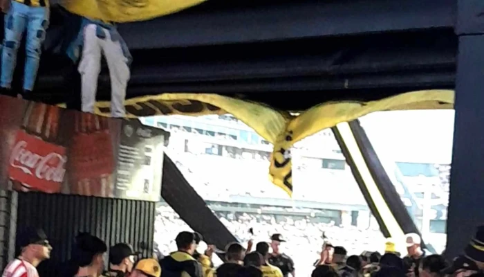 Estadio Campeon Del Siglo Comentario 11 - Montevideo