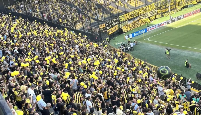 Estadio Campeon Del Siglo Comentario 7 - Montevideo