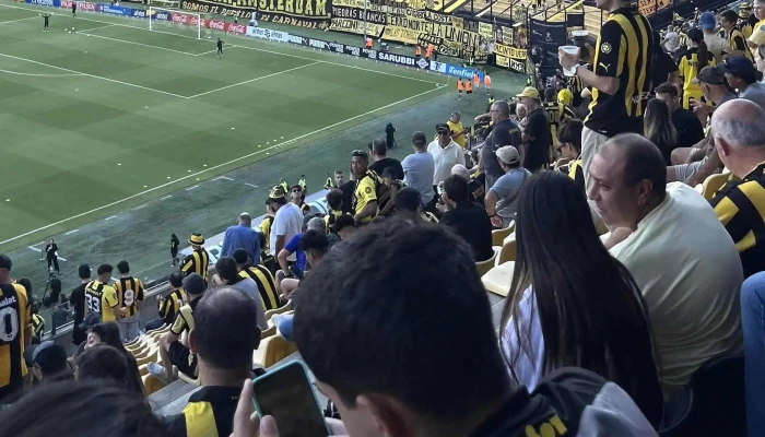 Estadio Campeon Del Siglo Comentario 8 - Montevideo