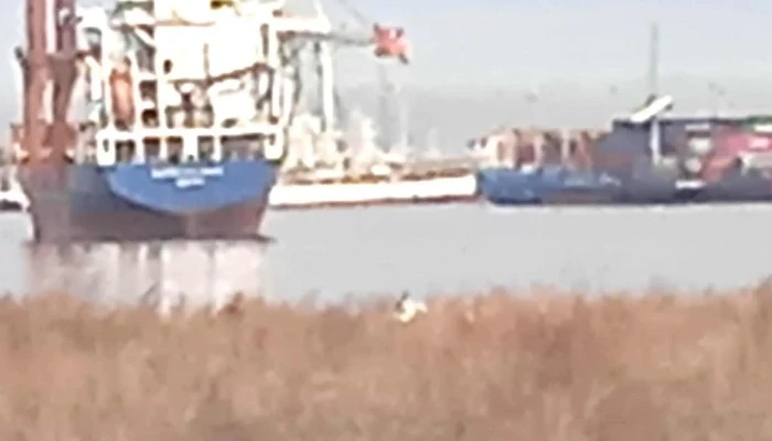 Estadio Parque Capurro -  Comentario 4 - Montevideo