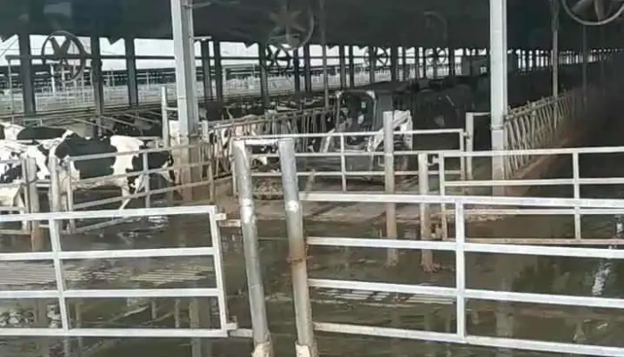 Estancias Del Lago -  Videos - Santa Bernardina