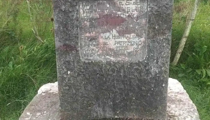 Estética Adriana - 20300 Pan De Azúcar